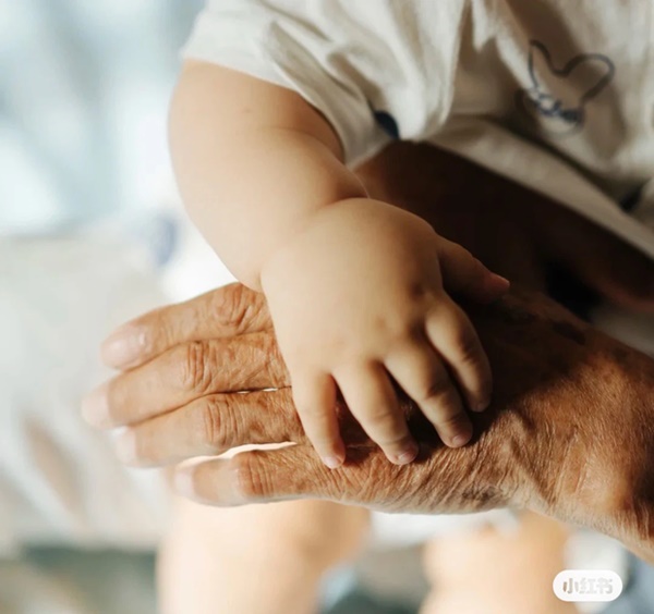 Chị gái vừa ly hôn, cô em ruột vội vàng kết hôn với anh rể, nào ngờ đây lại là khởi đầu của chuỗi bi kịch-2