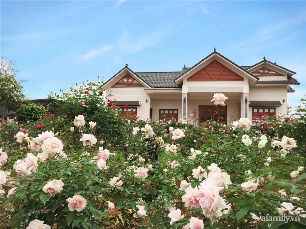 Cuộc sống an yên trong ngôi nhà có vườn hoa hồng quanh năm tỏa hương sắc của gia đình 3 thế hệ ở Ba Vì, Hà Nội-1