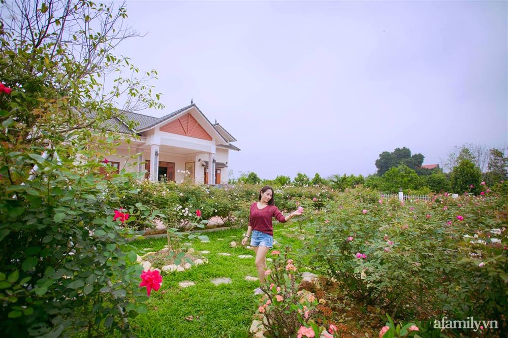 Cuộc sống an yên trong ngôi nhà có vườn hoa hồng quanh năm tỏa hương sắc của gia đình 3 thế hệ ở Ba Vì, Hà Nội-2