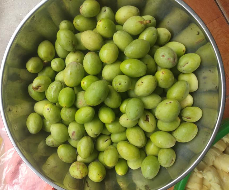 Trám non đầu mùa 50 nghìn/kg, mua về muối ăn dè mùa dịch-3