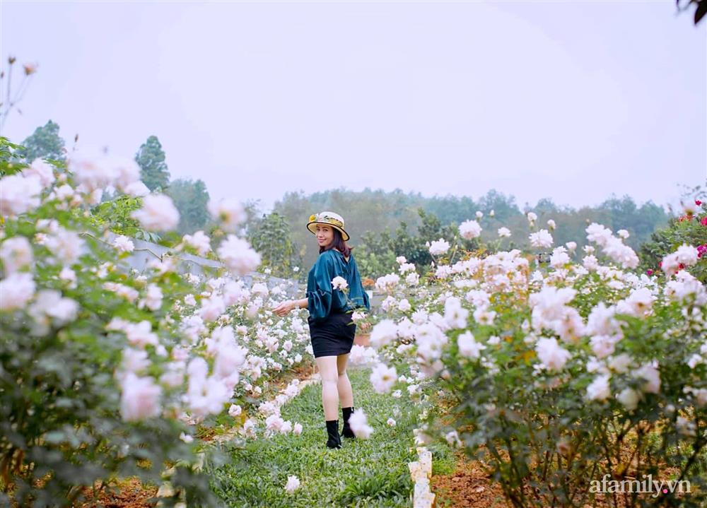 Cuộc sống an yên trong ngôi nhà có vườn hoa hồng quanh năm tỏa hương sắc của gia đình 3 thế hệ ở Ba Vì, Hà Nội-3