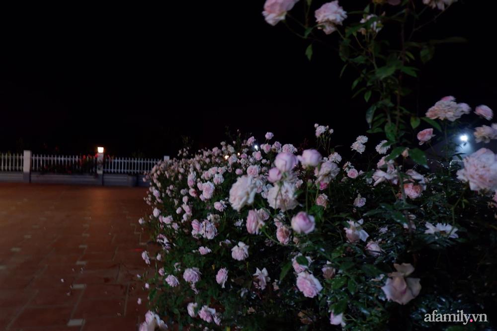 Cuộc sống an yên trong ngôi nhà có vườn hoa hồng quanh năm tỏa hương sắc của gia đình 3 thế hệ ở Ba Vì, Hà Nội-10