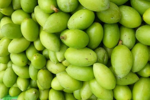 Xe trái cây dạo 30 năm gây nghiện với món lạ ổi luộc chấm mắm ruốc-5