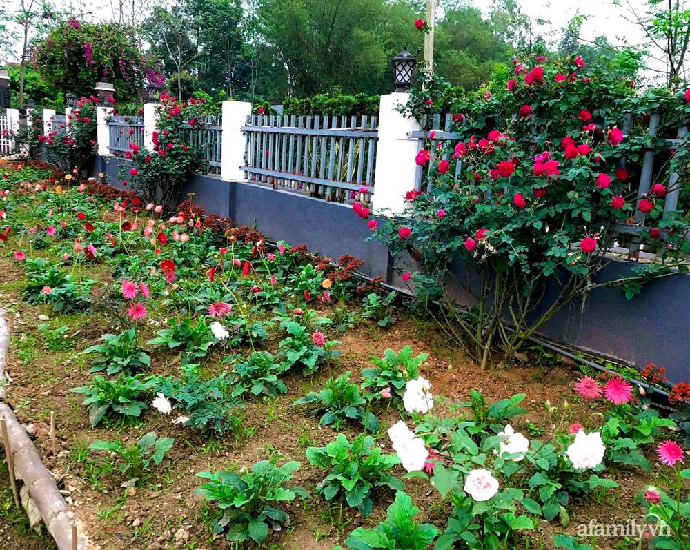 Cuộc sống an yên trong ngôi nhà có vườn hoa hồng quanh năm tỏa hương sắc của gia đình 3 thế hệ ở Ba Vì, Hà Nội-35