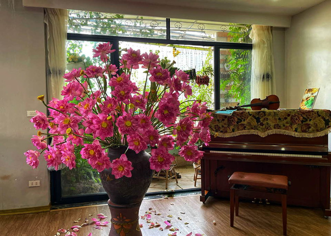 Dân mạng choáng váng với bình hoa sen kích thước khổng lồ bằng cả chiếc đàn piano, đến khi hoa nở mới thực sự choáng ngợp-3