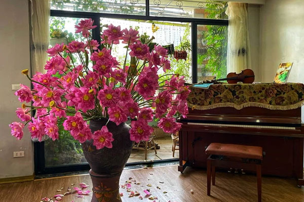 Sen ‘sinh đôi’ siêu đắt đỏ, chờ hai tháng mới được mua 1 bông-4