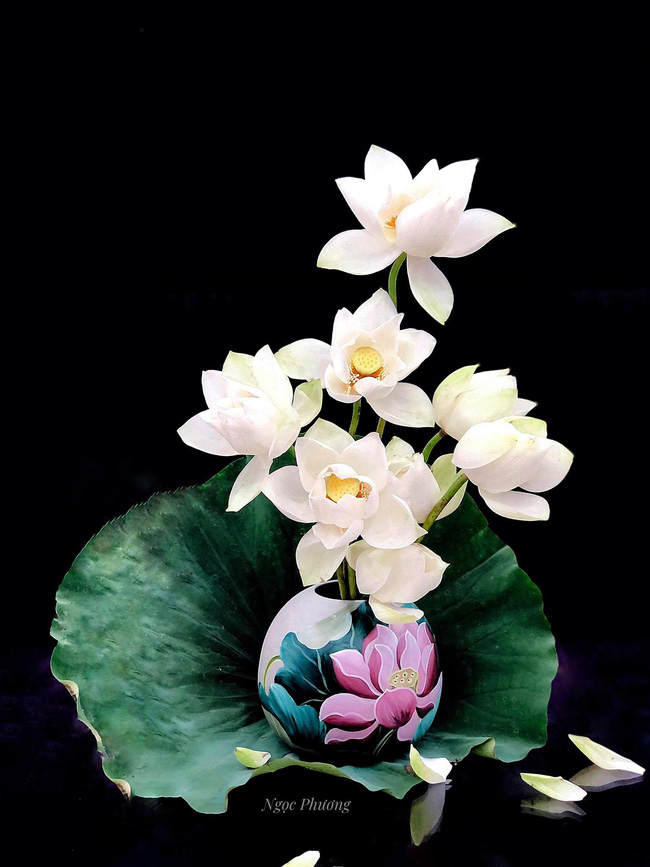 Dân mạng choáng váng với bình hoa sen kích thước khổng lồ bằng cả chiếc đàn piano, đến khi hoa nở mới thực sự choáng ngợp-8