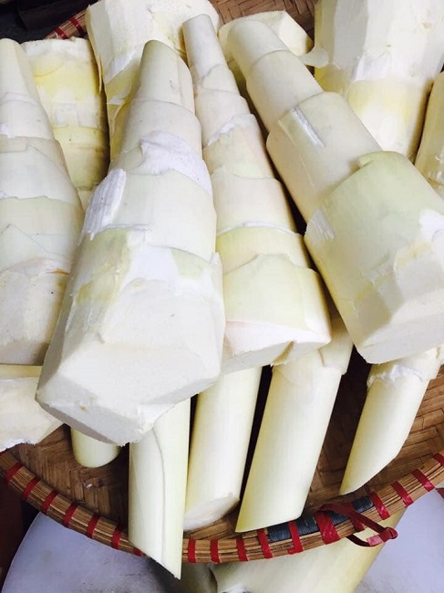 Rủ nhau đi đào lộc rừng” vào mùa mưa, sau vài tháng, kiếm cả trăm triệu-2