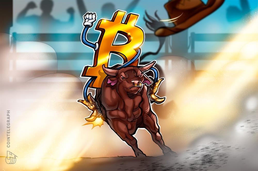 Đưa tiền cho người khác mua coin, tôi mất sạch 200 triệu-2
