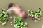 Vụ bác sĩ bị tố hiếp dâm đồng nghiệp ở Huế: Nữ y tá từng được gia đình bác sĩ cưu mang, người mẹ tiếp tục đưa bằng chứng kêu oan cho con trai-4