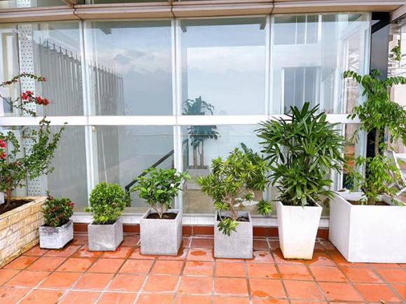 Khám phá khu vườn nhỏ trên sân thượng nhà MC Phương Mai-11