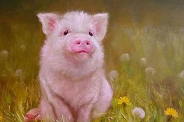 Đây là 4 cung Hoàng đạo sinh ra đã chịu thương chịu khó, cuộc đời nhiều sóng gió cũng không khuất phục, sớm muộn cũng hóa rồng phượng-5