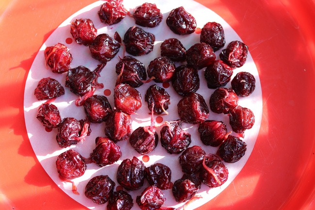 Nhà có nồi chiên không dầu lại còn đang mùa mận rẻ thì hãy làm món này để dành ăn dần nhé các chị-7