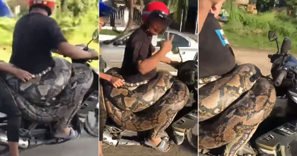 Người đàn ông gây xôn xao MXH với màn chở bé Na 200kg dạo phố, tưởng làm chuyện để ý câu view nhưng lại là hành động đầy tốt bụng-3