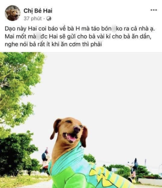 Xuân Nghị gây tranh cãi vì dùng ngôn từ thô tục để nói về bà Phương Hằng, còn gọi khán giả là robot khi bị góp ý?-1