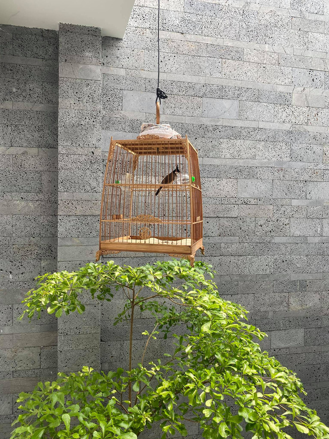 Kinh doanh tự do, vợ chồng xây nhà 4 tầng rộng 680m2, nhìn bếp với sân thượng chỉ biết khen: Đúng là nhà người ta!-21