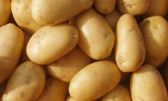 Khi một người khôn ngoan mua khoai tây, cô ấy sẽ hỏi khoai tây bột hay khoai tây giòn? Người bán rau: Đây là một chuyên gia-4