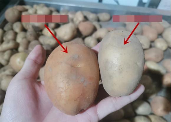Khi một người khôn ngoan mua khoai tây, cô ấy sẽ hỏi khoai tây bột hay khoai tây giòn? Người bán rau: Đây là một chuyên gia-7