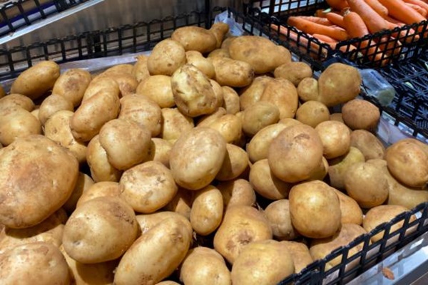 Giật mình với clip soi khoai tây mọc mầm dưới kính hiển vi và 5 lưu ý khi ăn khoai tây để không gây hại sức khỏe-3