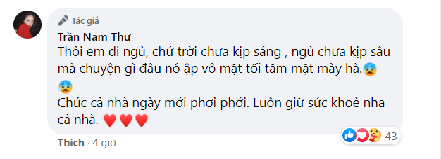 Nam Thư sẵn sàng đối chất về hình ảnh bình luận với con trai Hoài Linh mắng khán giả vô ơn-2