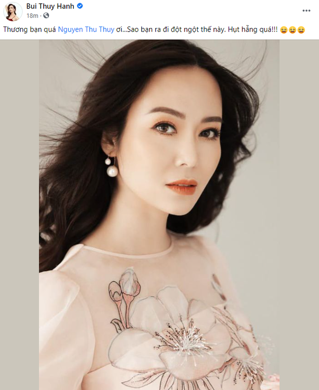 Dàn Hoa hậu, sao Việt tiếc thương trước sự ra đi đột ngột của Hoa hậu Nguyễn Thu Thủy: Chị ơi, từ giờ chỉ còn bình yên thôi”-2