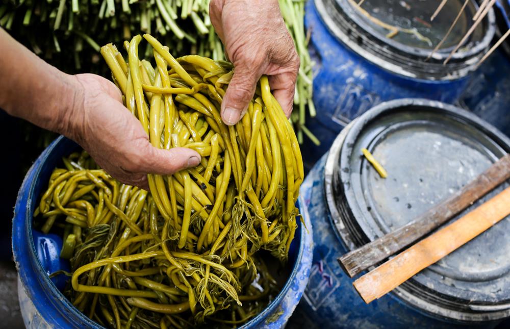 Xưa dùng để chống đói, nay trồng loại rau này không chỉ thoát nghèo mà còn kiếm tiền triệu mỗi ngày-4