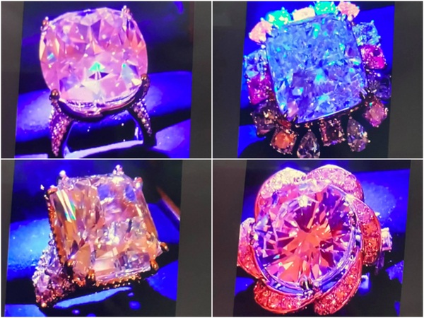 Cận cảnh BST kim cương hột mít sau này sẽ được bán hết để làm từ thiện của bà Phương Hằng-6