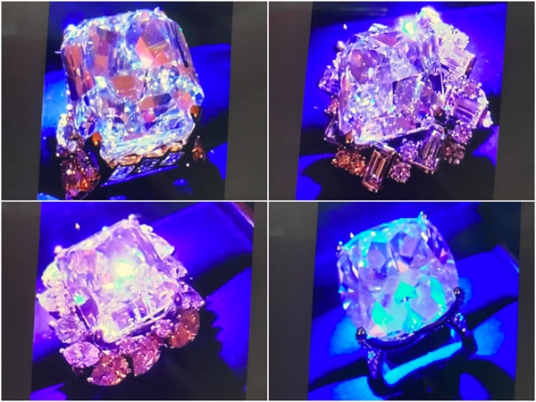 Cận cảnh BST kim cương hột mít sau này sẽ được bán hết để làm từ thiện của bà Phương Hằng-7