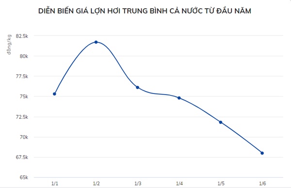 Giá lợn hơi lao dốc, thịt lợn ngoài chợ bao giờ mới rẻ?-1