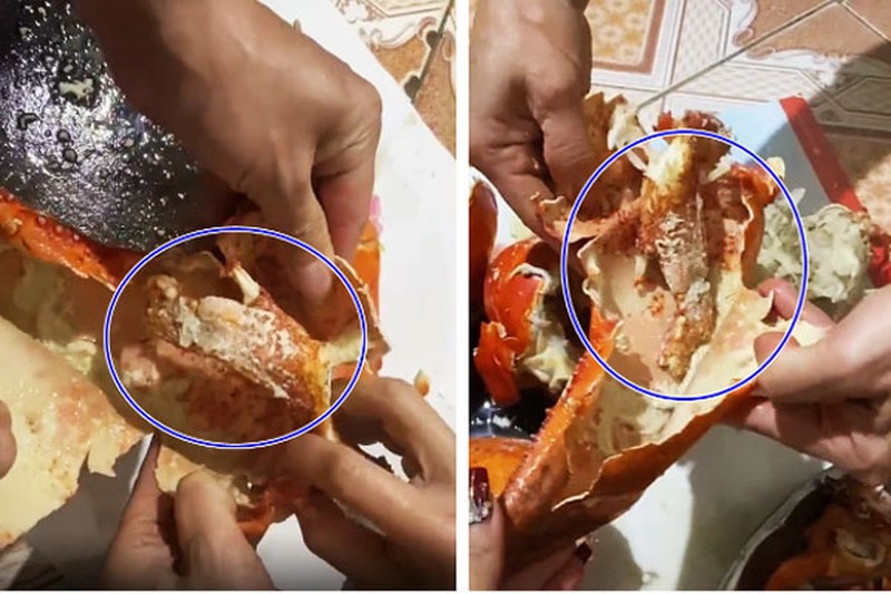 Mua đồ ăn trên mạng và cái kết không thể đắng lòng hơn-4