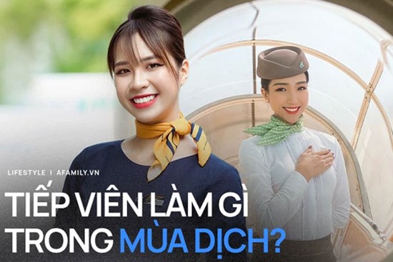 Nhiều tiếp viên hàng không bỗng 