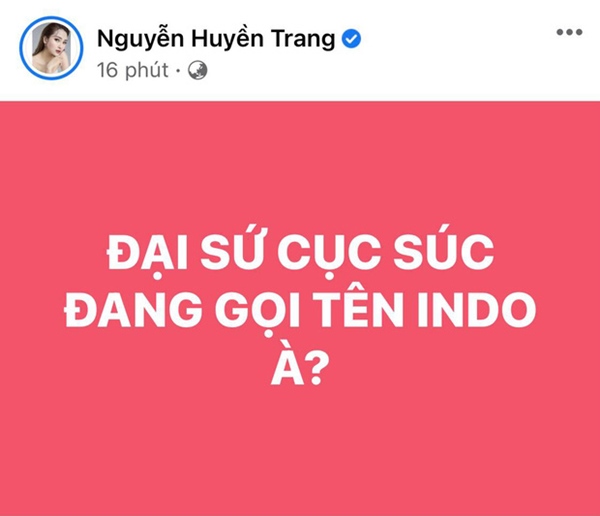 Trương Quỳnh Anh, Nam Thư và dàn sao Việt bày tỏ sự phẫn nộ khi thấy cầu thủ Việt Nam bị đội tuyển Indonesia chơi xấu-6