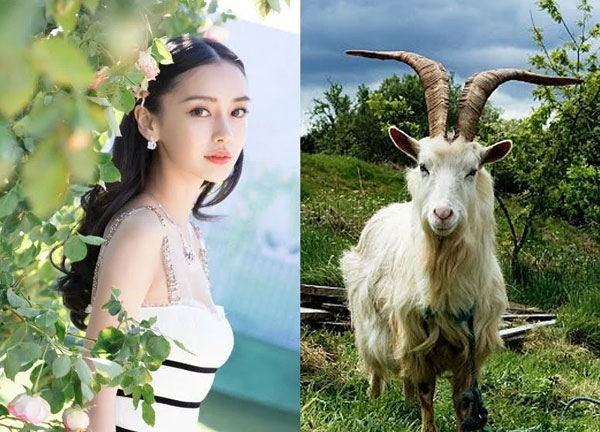 Trong 100 ngày tới: 3 con giáp tiền bạc đầy nhà, đầu tư vào đâu cũng trúng quả lớn, tha hồ đếm tiền-1