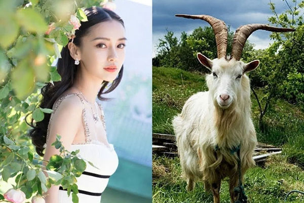 7 nét tướng của người hậu vận sung túc, tuổi tác càng cao, phúc lộc càng dày-4