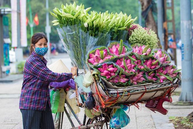 Sen đầu mùa ào ra phố giữa những ngày đại dịch-1