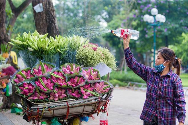 Sen đầu mùa ào ra phố giữa những ngày đại dịch-8