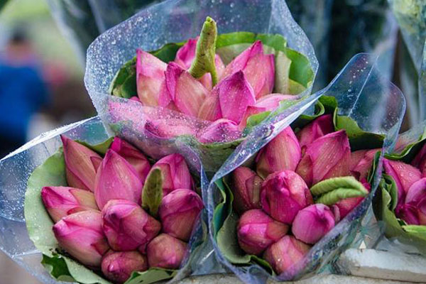 Trà ướp sen chát trước ngọt sau giá 10 triệu đồng/kg-4