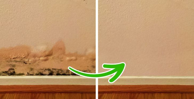 Nhà có mùi hôi khó chịu mà không rõ nguyên do, kiểm tra ngay 6 dấu hiệu đáng ngờ sau-1