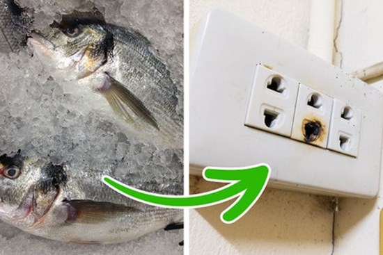 Nhà có mùi hôi khó chịu mà không rõ nguyên do, kiểm tra ngay 6 dấu hiệu đáng ngờ sau