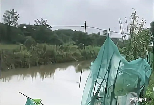 Thi thể hai đứa trẻ dưới mương hé lộ tội ác khủng khiếp của thiếu niên cùng làng, bà nội khóc tức tưởi vì chủ quan khiến cháu mất mạng-2