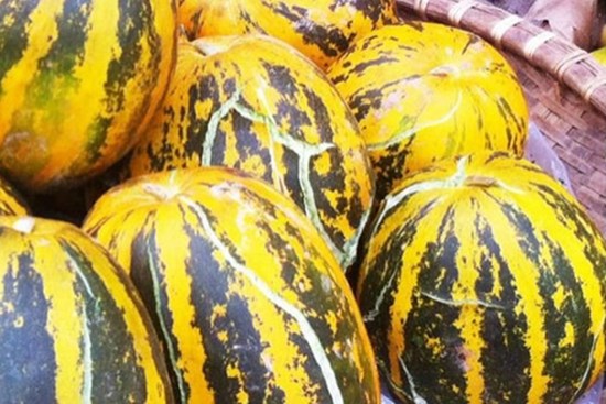 Chọn mua dưa bở chỉ cần nhìn vào đúng 1 điểm này đảm bảo “bách phát bách trúng”