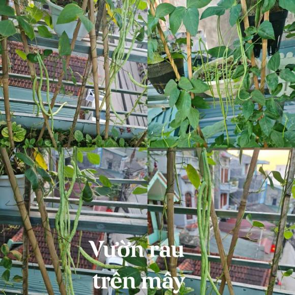 Cuộc sống của Cô dâu 62 tuổi Thu Sao và chồng trẻ Hoa Cương giờ ra sao?-6