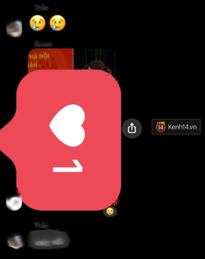 Sốc: Xôn xao nữ sinh Hà Nội bị cô giáo Văn lập group nói xấu, chê béo, ngực như bát ô tô-7