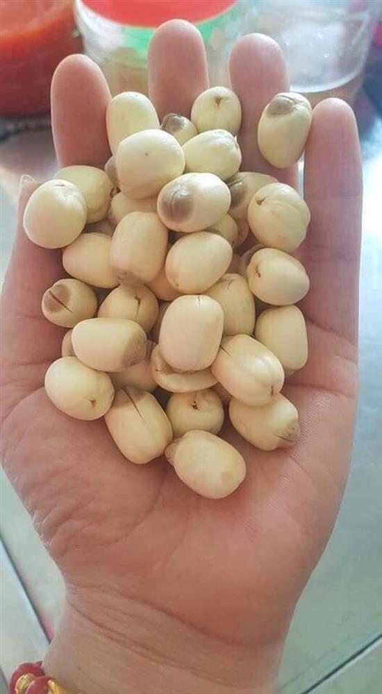 Cơn sốt hạt sen đầu hè, nhập cả tạ vẫn không đủ hàng trả khách-2
