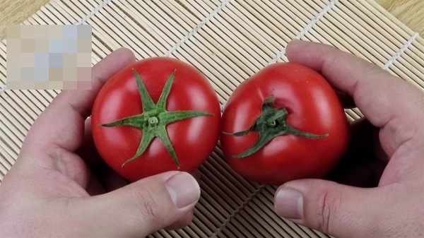 Mùa hè thích ăn salad nhưng khi mua dưa chuột nên chọn loại thẳng hay cong? Cà chua, chọn loại 6 lá hay 5 lá?-1