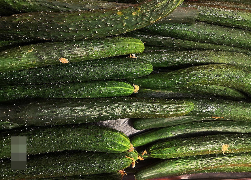 Mùa hè thích ăn salad nhưng khi mua dưa chuột nên chọn loại thẳng hay cong? Cà chua, chọn loại 6 lá hay 5 lá?-8