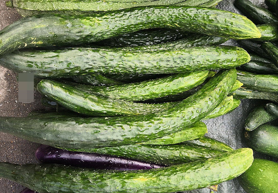 Mùa hè thích ăn salad nhưng khi mua dưa chuột nên chọn loại thẳng hay cong? Cà chua, chọn loại 6 lá hay 5 lá?-10