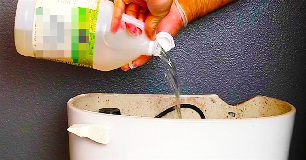 Đổ giấm vào chậu cây, bạn sẽ bất ngờ vì thấy điều này xảy ra-3