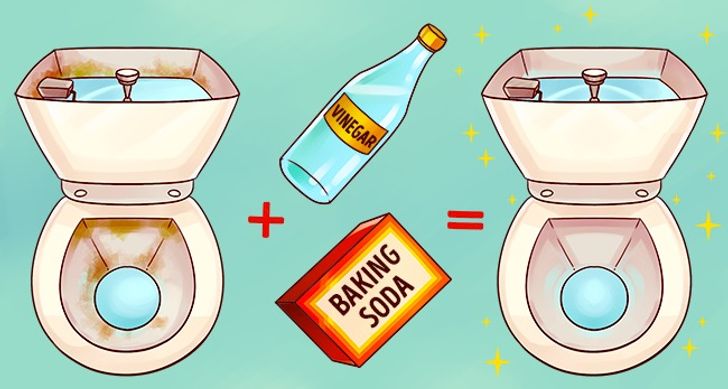 Đổ giấm vào chậu cây, bạn sẽ bất ngờ vì thấy điều này xảy ra-2