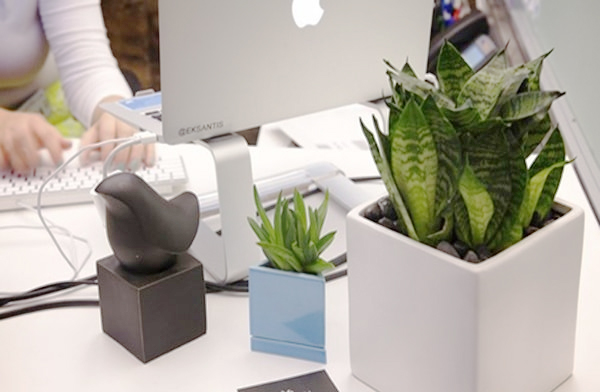 Người mệnh Thủy nên đặt bàn làm việc hướng nào, chọn chất liệu, màu sắc ra sao để chiêu tài phát lộc, sự nghiệp vững vàng?-5